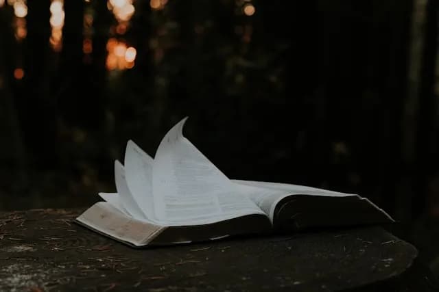 bible pages rustled by wind